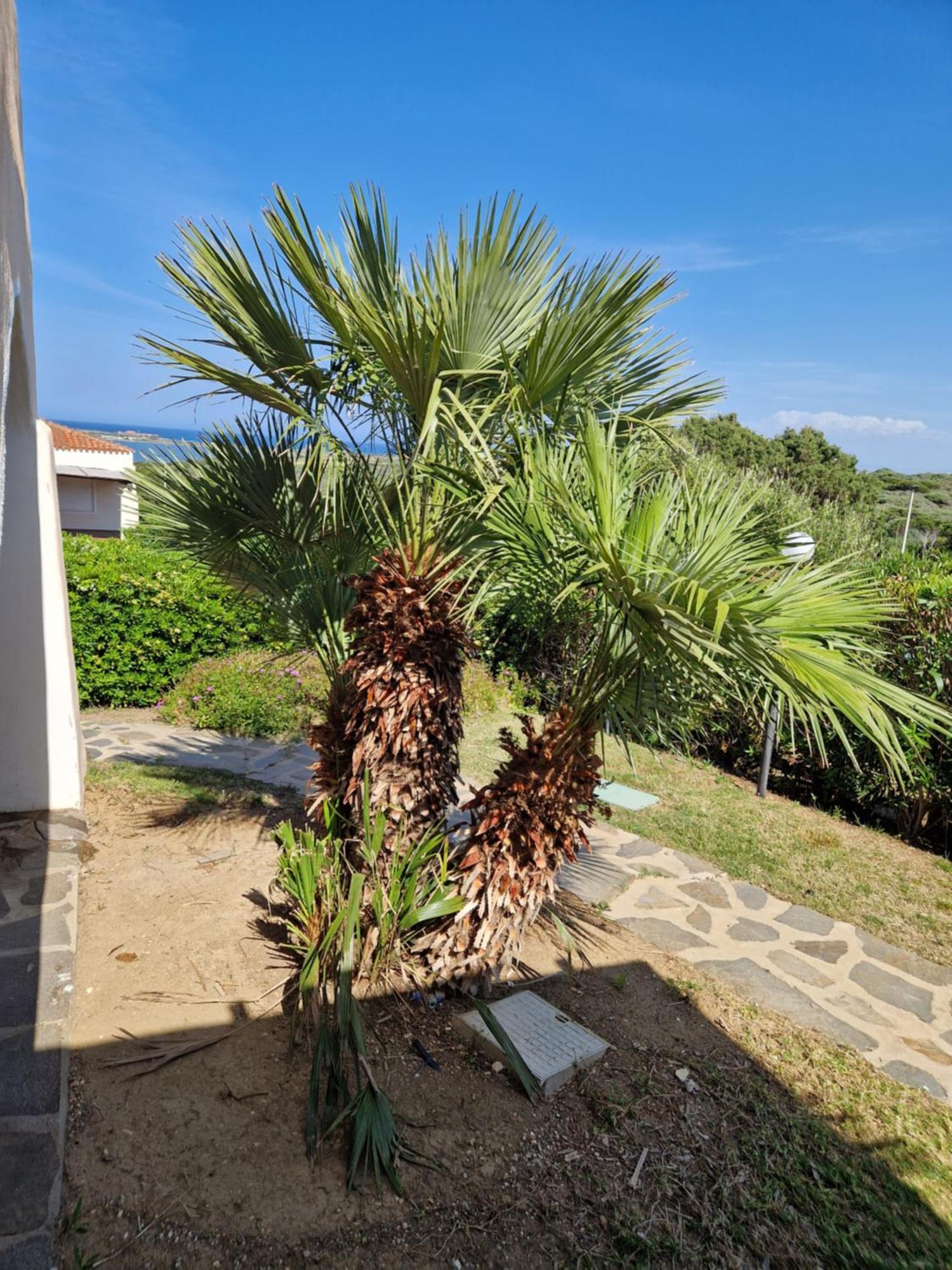 Villa Iris Stintino Exterior foto